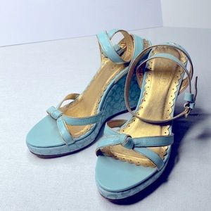 Coach Cathleen Wedge